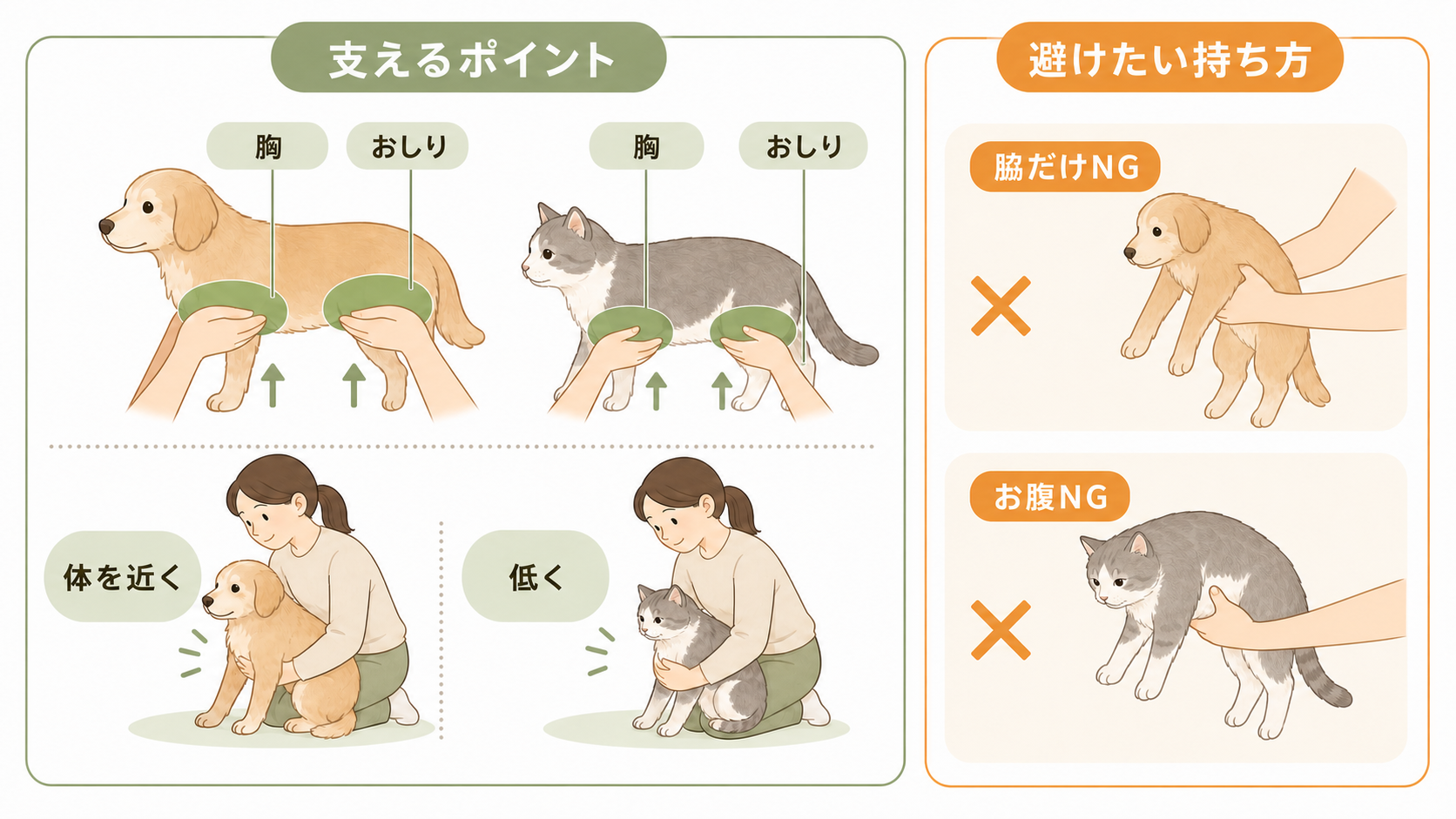 犬猫の胸とおしりを支え、体を近く低く保つポイントと、脇だけお腹だけの持ち方を避ける図解