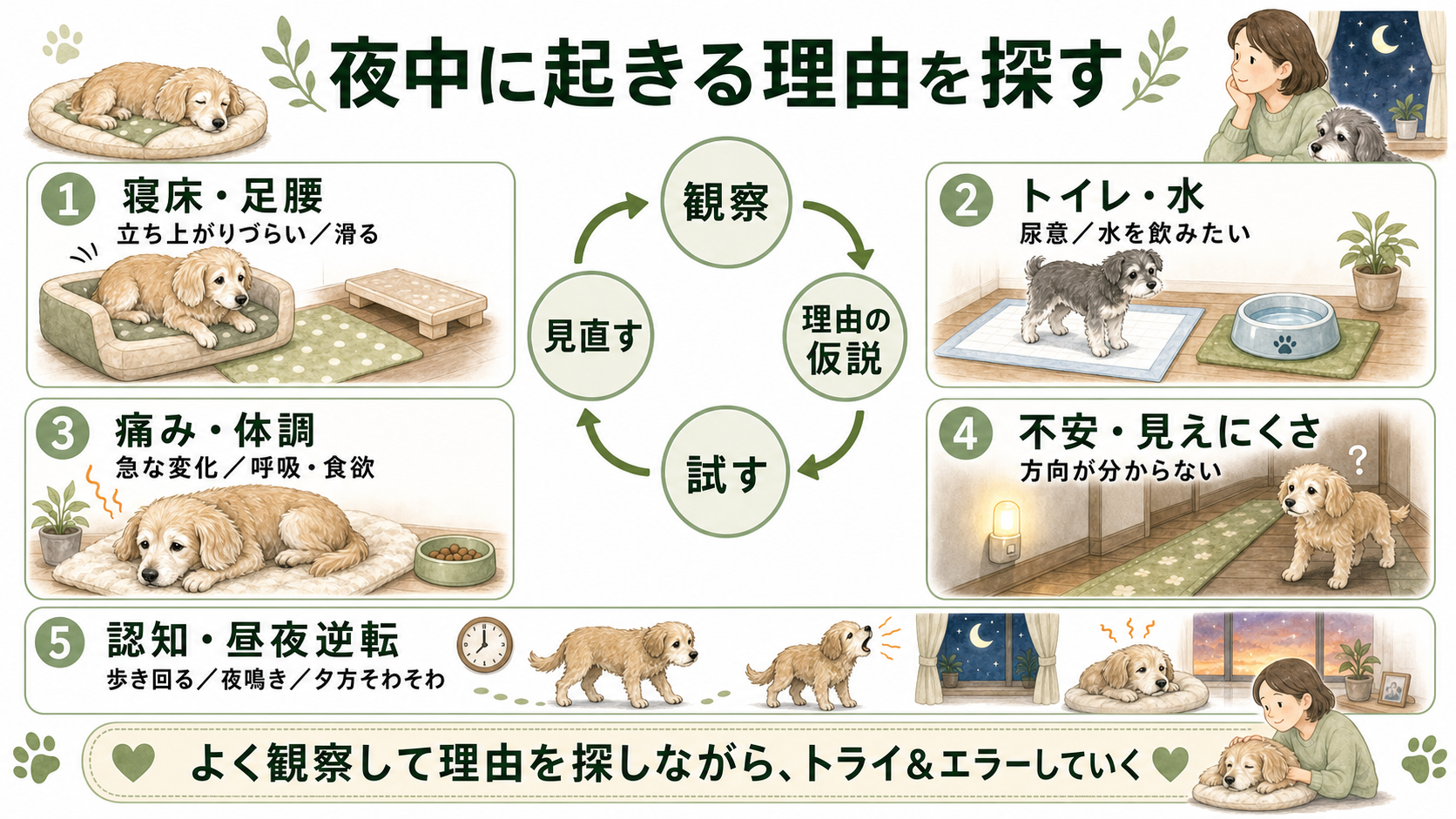夜中に起きる理由を寝床や足腰、トイレや水、痛みや体調、不安や見えにくさ、認知や昼夜逆転に分け、観察、理由の仮説、試す、見直す流れで考える図解