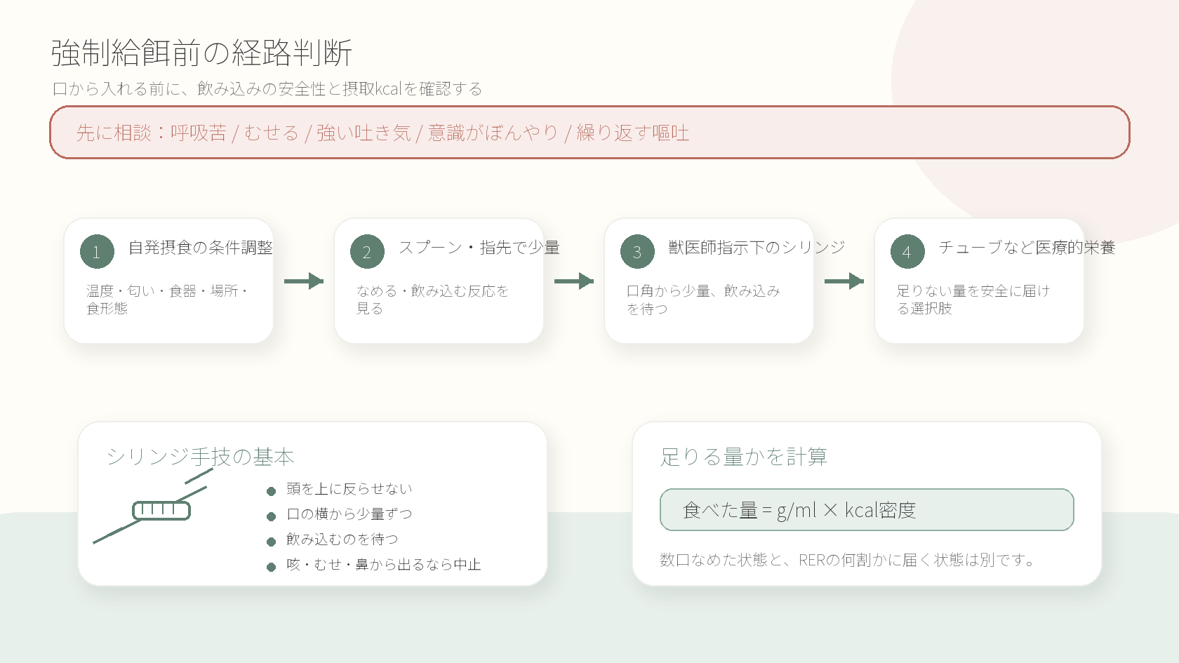強制給餌前の経路判断とシリンジ手技の基本を示す図解