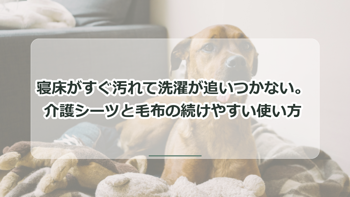 寝床がすぐ汚れて洗濯が追いつかない記事のタイトル入りサムネイル