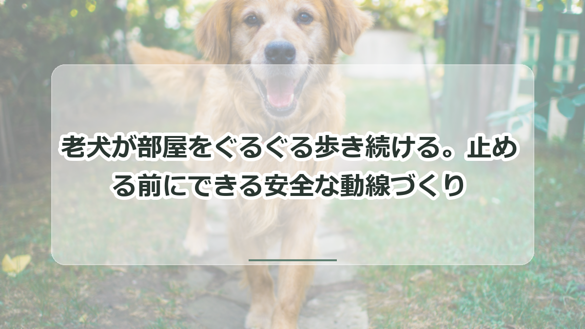 老犬が部屋をぐるぐる歩き続ける記事のタイトル入りサムネイル