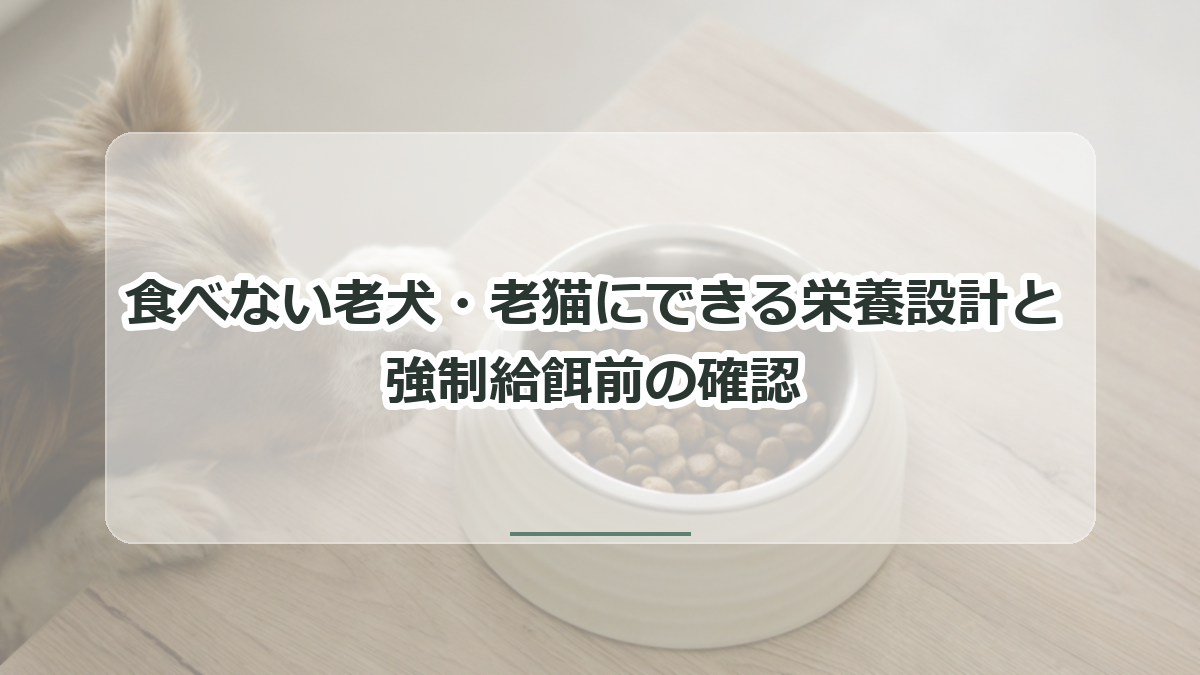 食べない老犬・老猫にできる栄養設計の記事のタイトル入りサムネイル